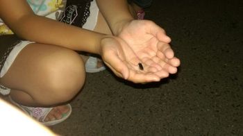 1433802003713.jpgのサムネイル画像