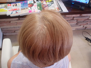 DSC04161.JPGのサムネイル画像