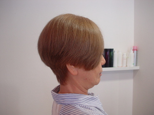 DSC04164.JPGのサムネイル画像