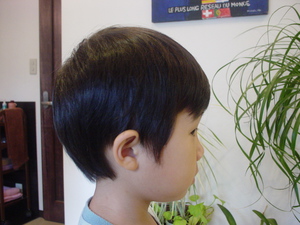 DSC04328.JPGのサムネイル画像