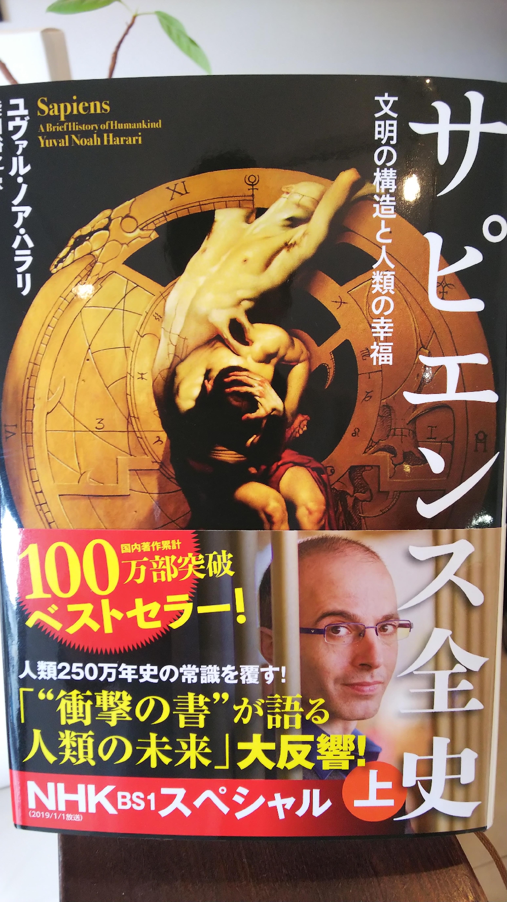 「サピエンス全史」買いました♪