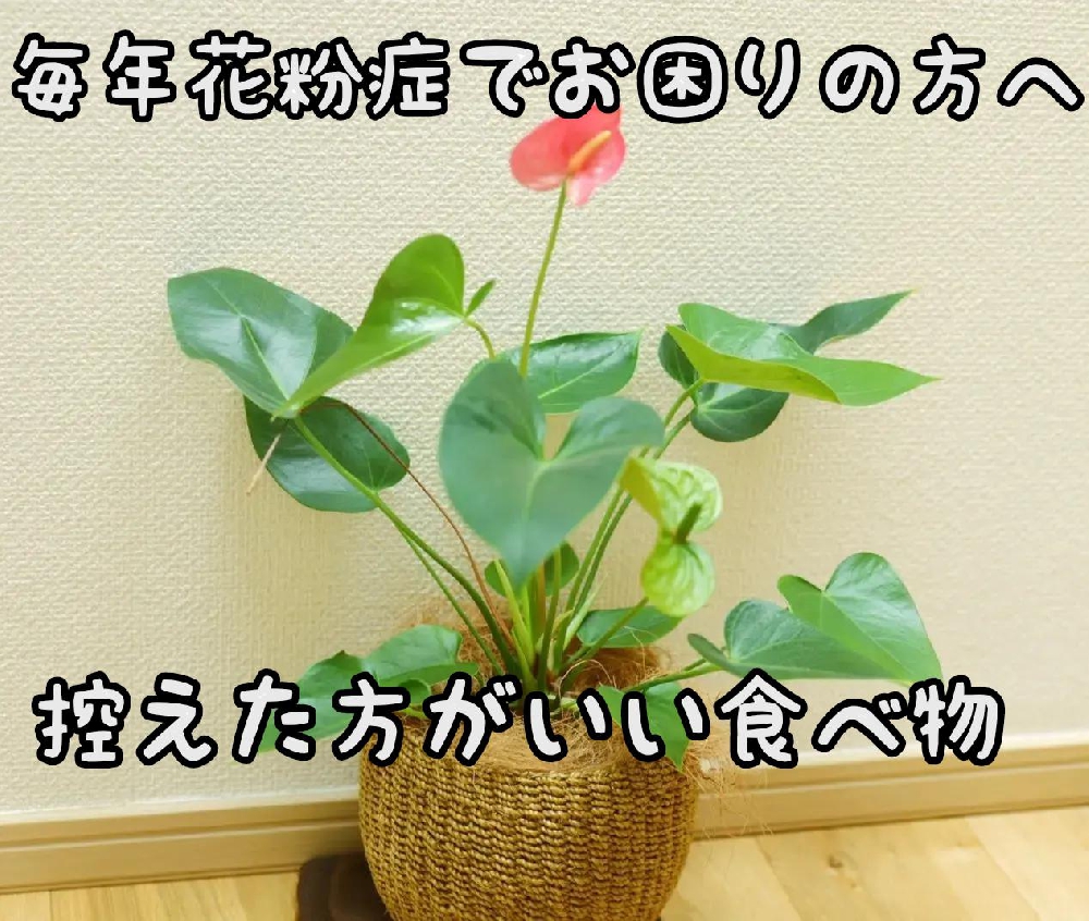 毎年花粉症でお困りの方へ控えた方がいい食べ物と食べた方がいいもの～アーユルヴェーダ～
