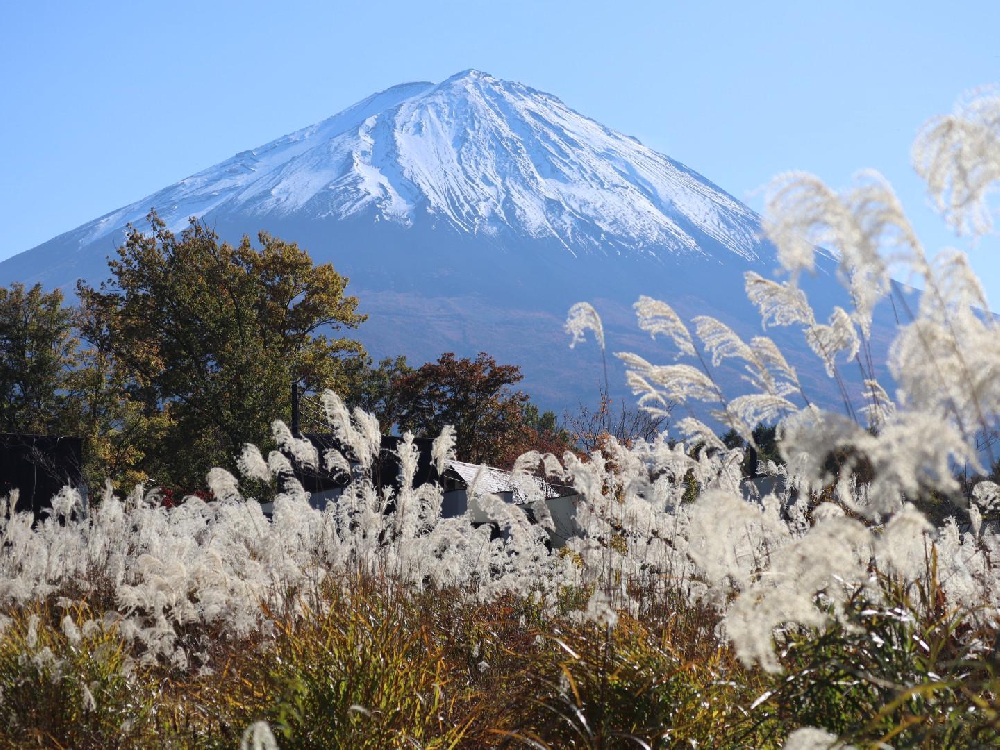 アーユルヴェーダの合宿所で自然を満喫してきました♪