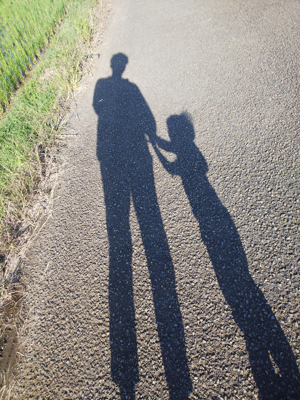 例えば人生が冒険だとしたなら