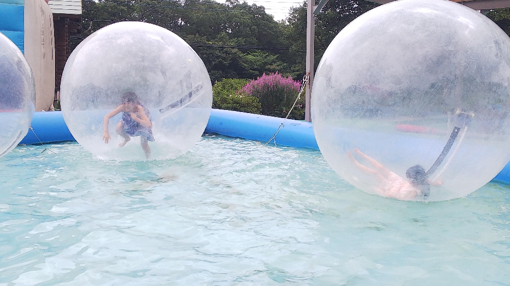 スウの夏休み③ 