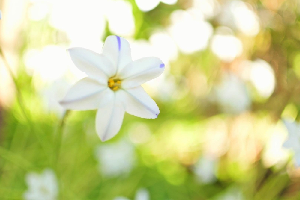 半分笑って半分泣いてる