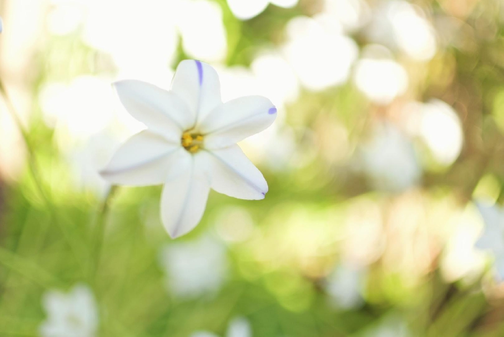 身近にある綺麗なもの♪