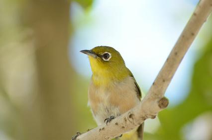 自然の声に耳を澄まそう♪