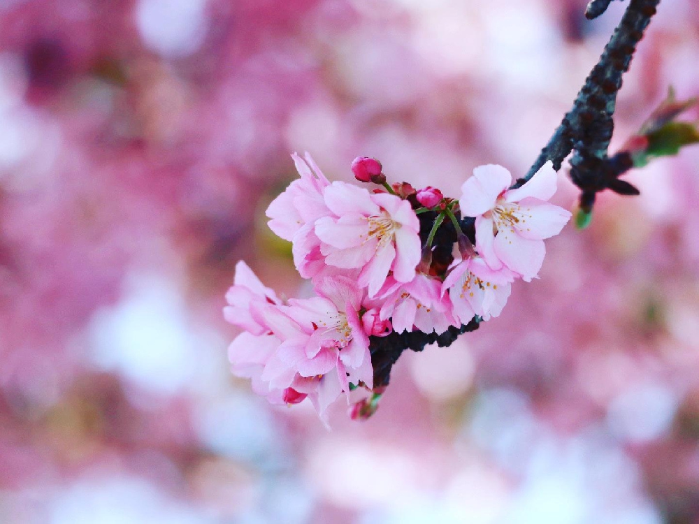 ありがとうを伝えたい。