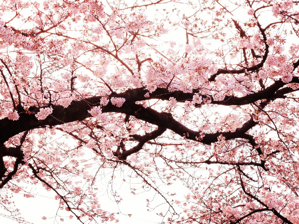 自分に「令」を告げる。