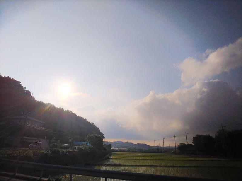 これからのこと