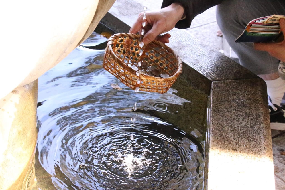 シャンティスウのオープン日決まりました！