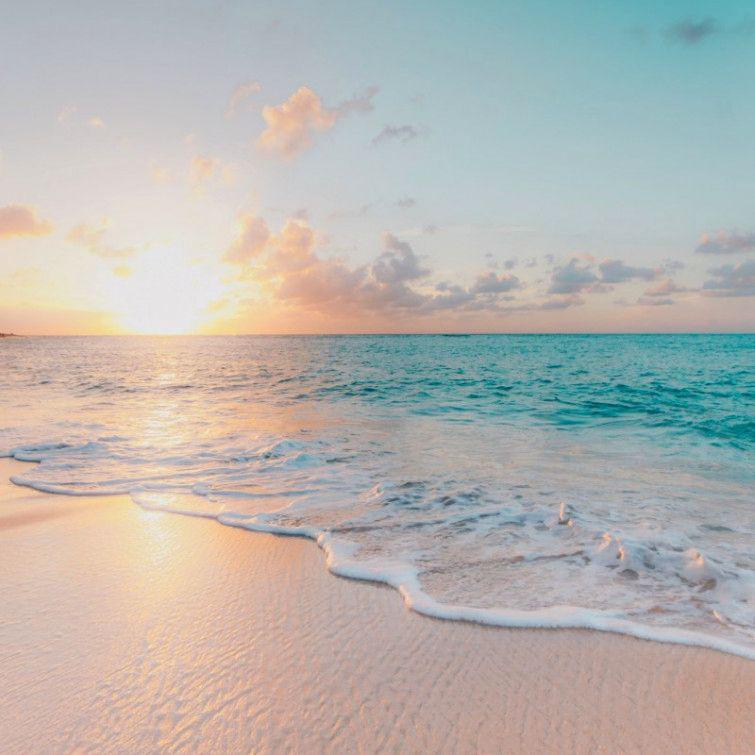 自然は答えを知っている